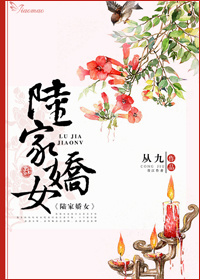 小说：陆家娇女，作者：从九