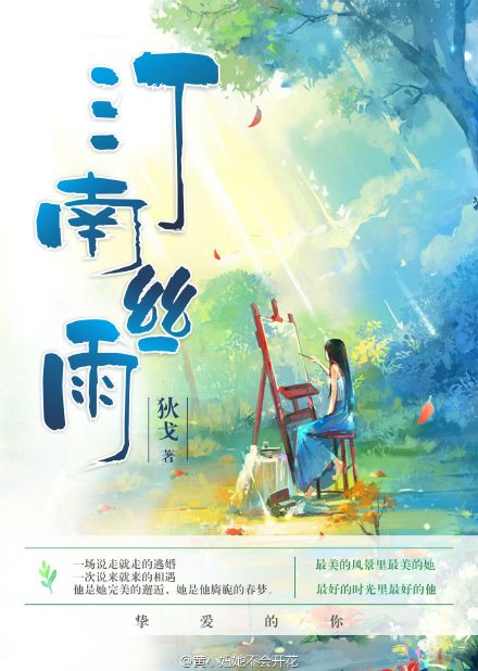 小说：汀南丝雨，作者：狄戈