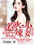 小说：惹火小辣妻：霸道BOSS，别乱来！，作者：若初初