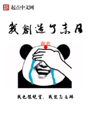 小说：我创造了末日，作者：南农