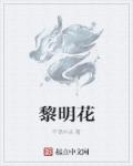 小说：黎明花，作者：不语木头