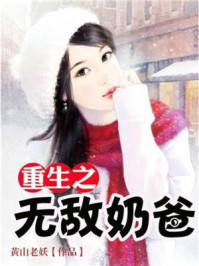 小说：重生之无敌奶爸，作者：黄山老妖