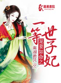 小说：爱妻如命之一等世子妃，作者：南湖微风