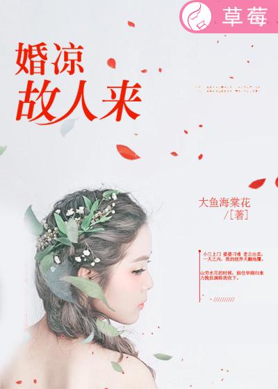 小说：婚凉故人来，作者：大鱼海棠花