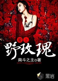 小说：爱上野玫瑰，作者：南斗之主