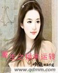 小说：重生之福来运转，作者：小龟wang