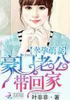 小说：幸孕萌妻：豪门老公带回家，作者：叶非非