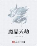 小说：魔晶天劫，作者：一周四节课