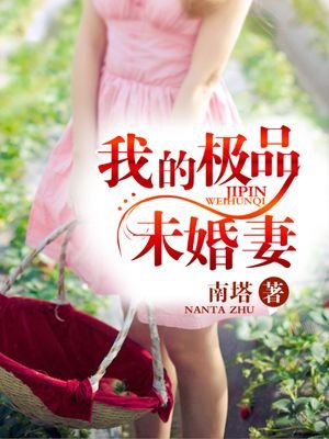 小说：我的极品未婚妻，作者：南塔