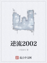 小说：逆流2002，作者：小陆探花