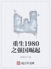 小说：重生1980之强国崛起，作者：满城风沙