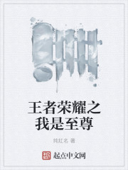 小说：王者荣耀之我是至尊，作者：纯红名