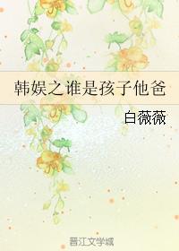 小说：韩娱之谁是孩子他爸，作者：白薇薇