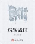 小说：玩转战国，作者：御火乘风