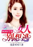 小说：BOSS专宠：女人别想逃，作者：浅茶可可