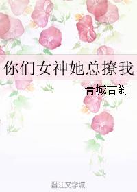 小说：你们女神她总撩我，作者：青城古刹