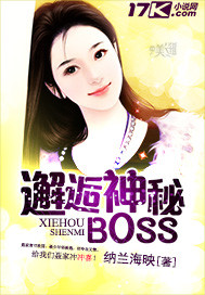 小说：邂逅神秘BOSS，作者：纳兰海映