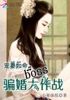 小说：宠妻如命：boss骗婚大作战，作者：小寒妹纸