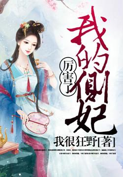 小说：厉害了我的侧妃，作者：我很狂野