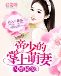 小说：闪婚秘爱：帝少的掌上萌妻，作者：君之