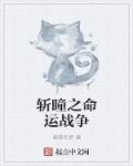 小说：斩瞳之命运战争，作者：黄粱无梦