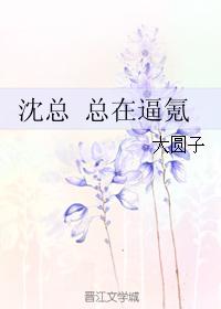 小说：沈总 总在逼氪，作者：大圆子