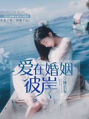小说：爱在婚姻彼岸，作者：林长安