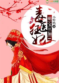 小说：毒医狂妃：萌宝1加1，作者：小野鸭