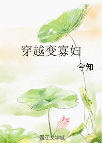 小说：穿越变寡妇，作者：兮知