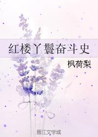 小说：红楼丫鬟奋斗史，作者：枫荷梨