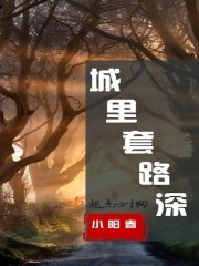 小说：城里套路深，作者：小阳春