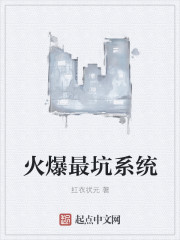 小说：火爆最坑系统，作者：红衣状元