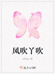 小说：风吹丫吹，作者：lubbys