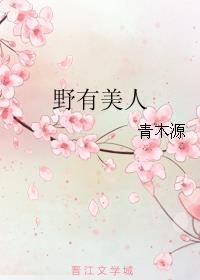 小说：野有美人，作者：青木源