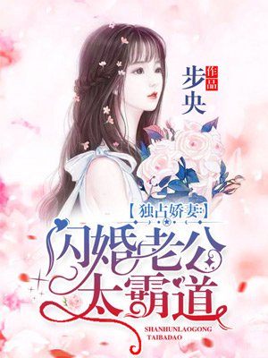 小说：独占娇妻：闪婚老公太霸道，作者：步央