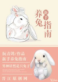 小说：新手养兔指南，作者：阮青鸽