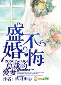 小说：盛婚不悔，总裁的爱妻，作者：四月田心