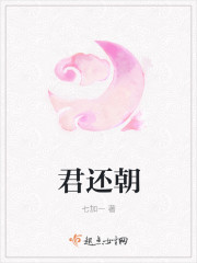 小说：君还朝，作者：七加一