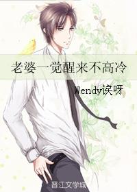 小说：老婆一觉醒来不高冷，作者：Wendy诶呀