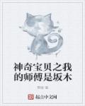 小说：神奇宝贝之我的师傅是坂木，作者：巽煜