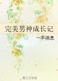 小说：完美男神成长记，作者：一手消息