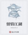 小说：留情江湖，作者：落霞遇孤鹜