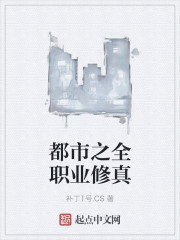 小说：都市之全职业修真，作者：补丁1号.CS