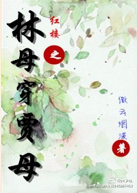 小说：红楼之林母穿贾母，作者：微云烟波