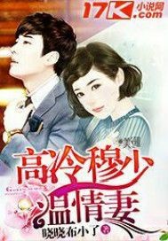 小说：高冷穆少温情妻，作者：晓晓布小了