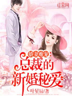 小说：总裁的新婚秘爱，作者：叶星辰