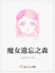 小说：魔女遗忘之森，作者：国宝种竹子