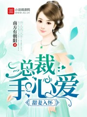 小说：甜妻入怀：总裁手心爱，作者：南方有朝阳