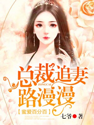 小说：蜜爱百分百：总裁追妻路漫漫，作者：七爷