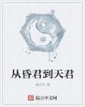 小说：从昏君到天君，作者：袁四爷